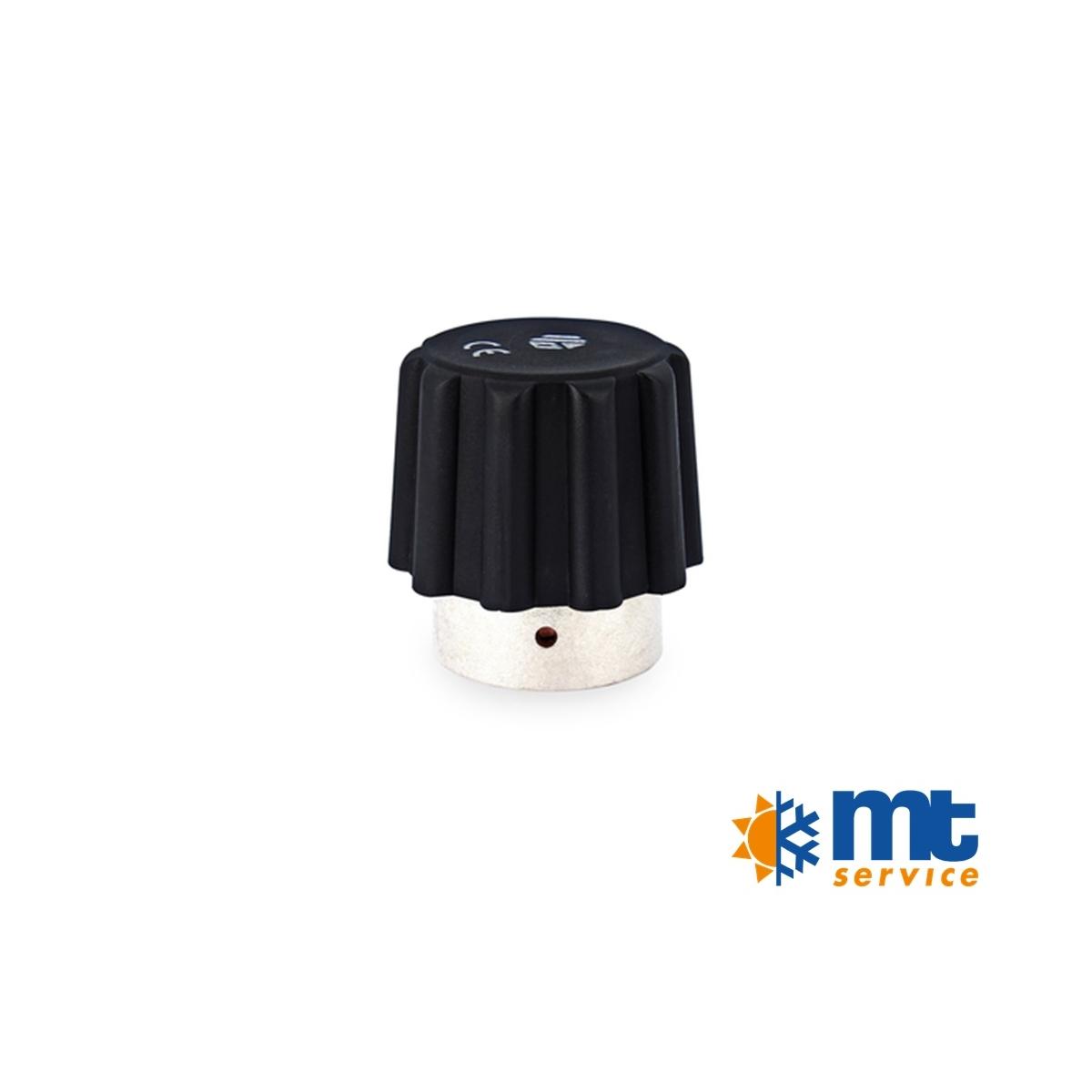 TAPPO PER FERRO CON CALDAIA A PRESSIONE DA 3/4 FEMMINA 4,5Bar