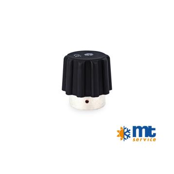 TAPPO PER FERRO CON CALDAIA A PRESSIONE DA 3/4 FEMMINA 4,5Bar